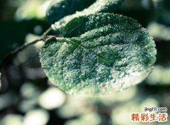 古风有韵味的伤感网名