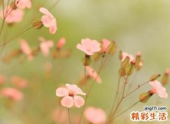 好听的四个字微信昵称