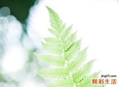 一个字的经典qq网名