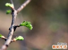 略显孤独的qq昵称