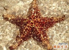 2021最好听的抖音网名