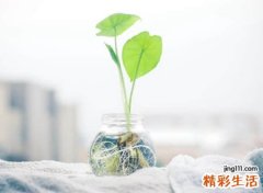 2021带来好运的微信名字
