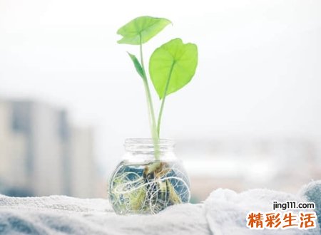2021带来好运的微信名字