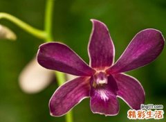 独一无二的抖音网名