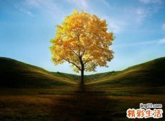 好听的可爱微信名