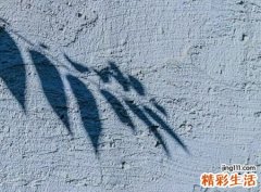 深奥高冷的一个字网名