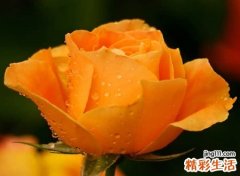 好听有含义的网名