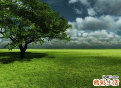 好听的微博名称