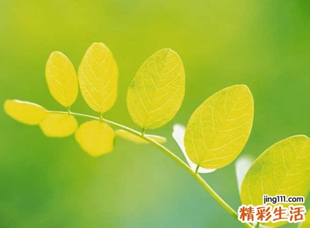 好听吸引人的网名昵称