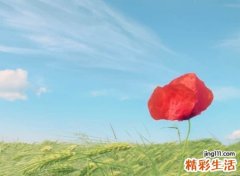好听赶时髦的三字网名