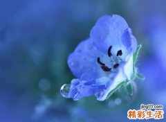 两个字的抖音网名