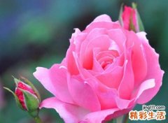 好听吸引人的微博名