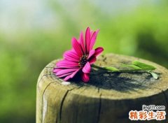 四个字的微信网名