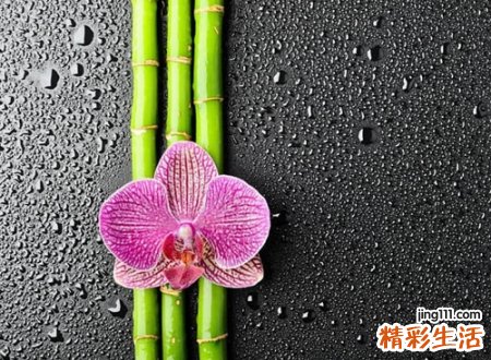 高冷的两字网名