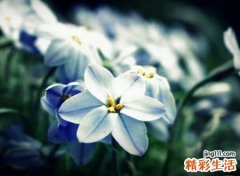 好听的网名古风版