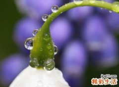 好听的高冷霸气网名