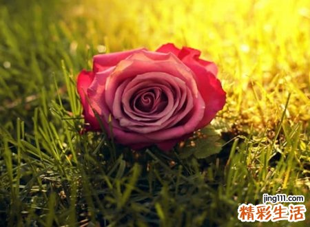 爱一个人的爱情网名