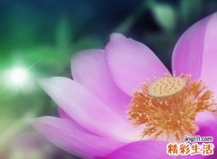 平平淡淡的网名