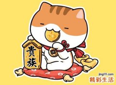 带来好运气的微信网名