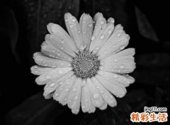 有韵味的伤感昵称