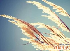 好听有深度的内涵网名