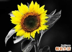 超狠心绝情的微信网名