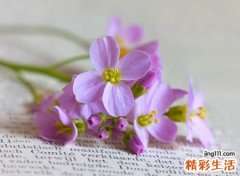 好听的森系网名