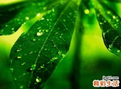 简单气质的两字网名