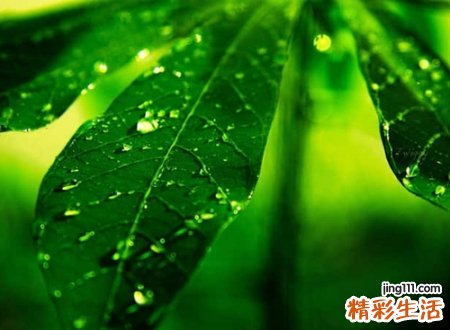 简单气质的两字网名