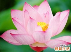 有内涵的名字微信版