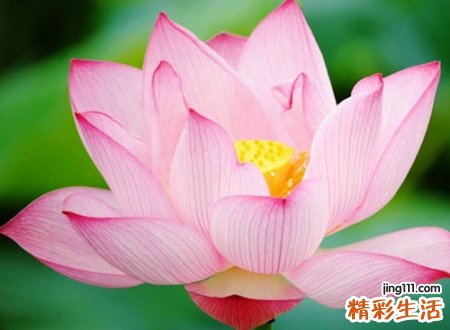 有内涵的名字微信版
