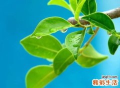 好听有个性的超拽网名