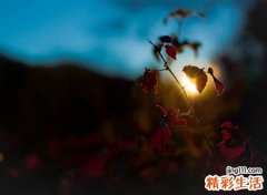 非主流很难过的伤心网名