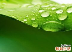 五个字的个性网名