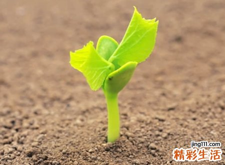 好看的微信网名