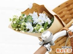 好听前卫的微博网名