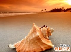 好听的七字网名