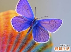 好听吸引人的两个字网名