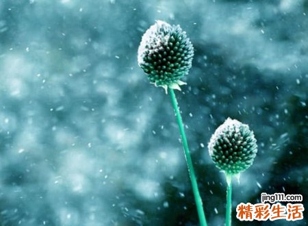悲伤的网名