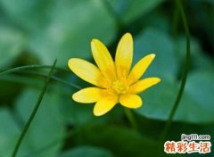 2021qq好听的名字大全