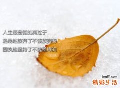 冷淡冷漠的昵称