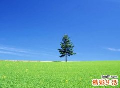 很有深意的好看网名