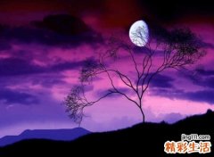 七个字的微信网名