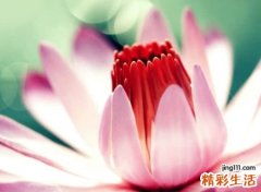 最霸气的抖音网名