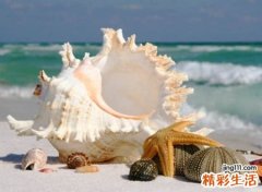 有深意的好网名