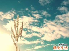 好听吸引人的网络名字