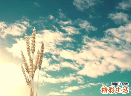 好听吸引人的网络名字