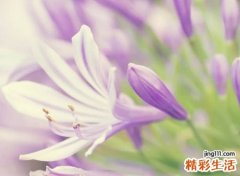 好听有新意的网络中文名