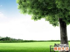 四个字优雅好听的网名