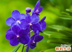 两个字好听的网名